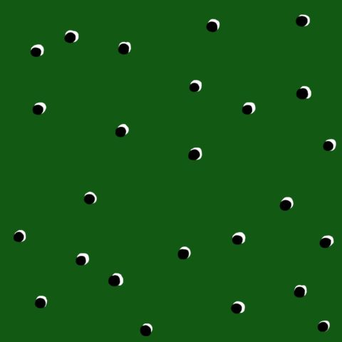 Double Dot Black Green