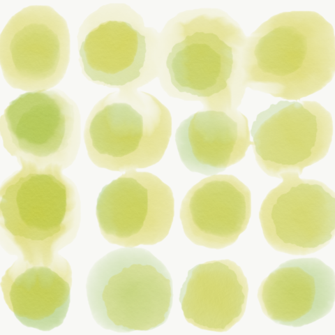 Watercolor Large Spot Olive